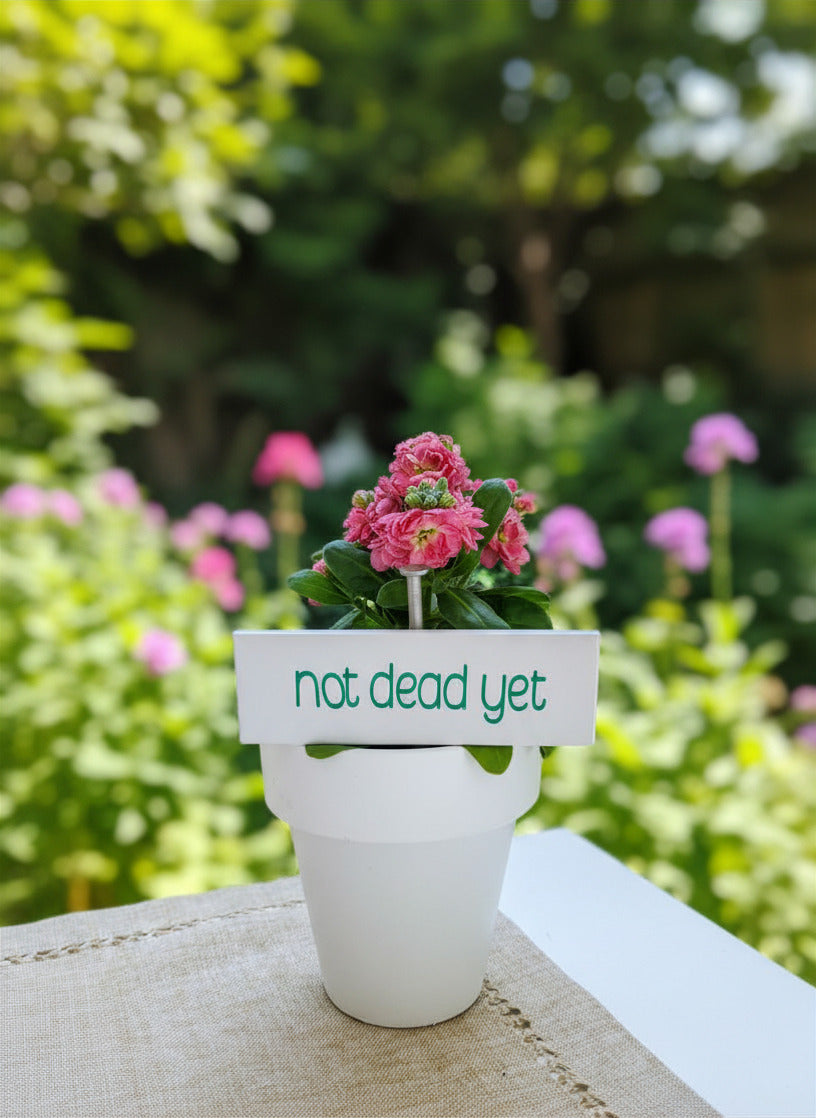 White Funny Garden Stakes