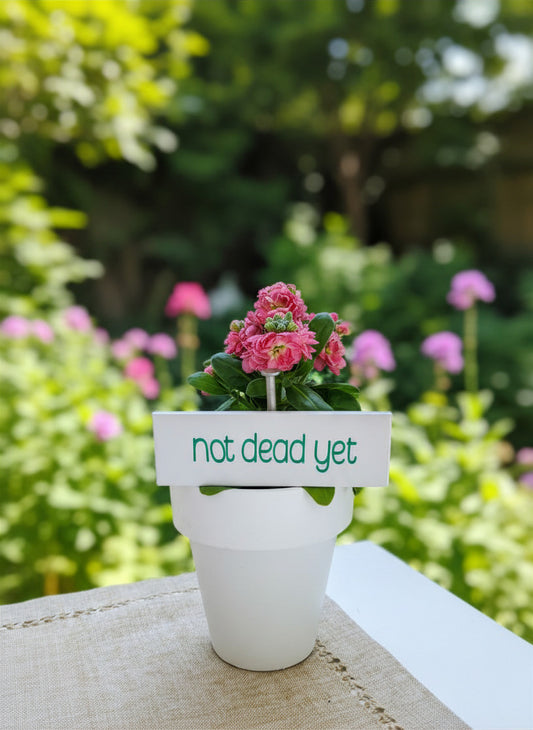 White Funny Garden Stakes